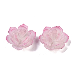 Ярко-Розовый Имитация формы лотоса, акриловые колпачки для бусин, для изготовления ювелирных изделий DIY, ярко-розовый, 34~43x16~16.5 мм, отверстие : 1.4 мм