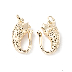 Golden Rack Plating Brass Hook Clasps, Long-Lasting Plated, Cadmium Free & Lead Free, Fish, Golden, 16x9.5x6mm, Hole: 3.2mm