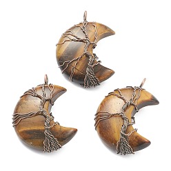 Tiger Eye Natural Tiger Eye Tree of Life Wire Wrapped Pendants, with Red Copper Brass Findings, Crescent Moon, Nickel Free, 43~47x31~35x11~13mm, Hole: 4~5mm