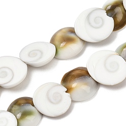 Морская Ракушка Натуральные бусины из ракушек «глаз Шивы», полукруглая форма раковины, кокосового коричневый, 11.5~13.5x10.5~12.5x4~4.5 мм, отверстие : 0.5 мм, около 40 шт / нитка, 15.16'' (38.5 см)