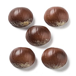 Coconut Brown Opaque Resin Decoden Cabochons, Imitation Nut, Chestnuts, Coconut Brown, 25.5x23x14.5mm