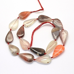 Red Agate Agate naturelle rouge sud agate brins, larme, 22.5~24.5x14~15x6~8mm, Trou: 1mm, Environ 16 pcs/chapelet, 16.5 pouce (42 cm)