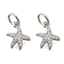 Платина Латунные микро проложить кубического циркония подвески, стойки покрытие, долговечный, без свинца и без кадмия, очарование морской звезды, платина, 12.5x10.5x2 мм, отверстие : 4.5 мм