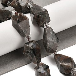 Syenite Натуральный флуоресцентный сиенитовый камень (светящийся в ультрафиолетовом свете) бусины нити, Грановитая Teardrop, с бисером, 19~21.5x12~13 мм, отверстие : 2 мм, около 15~16 шт / нитка, 14.96~15.7 дюйм (38~40 см)