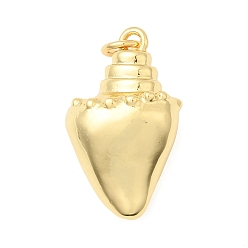 Настоящее золото 18K Латунные подвески, форма раковины, долговечный, без свинца и без кадмия, стойки покрытие, с целью перехода в кольце, реальный 18 k позолоченный, 21.5x13.5x8.5 мм, отверстие : 3.5 мм