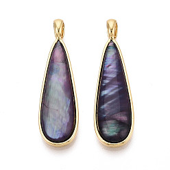 Раковина Подвески из окрашенных натуральных раковин пауа, слезинки, с латунной, золотые, фиолетовые, 40~40.5x11.5x3.5~4.5 мм, отверстие : 5x4 мм
