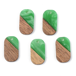 Зеленый Подвески из непрозрачной смолы и ореха, овальные, зелёные, 20.5x11.5x3 мм, отверстие : 2 мм