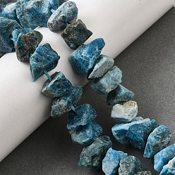 Апатит Природного апатита нитей бисера, необработанный грубый камень, самородки, 7~25x8~24.5x5~16 мм, отверстие : 0.9~1 мм, около 14~28 шт / нитка, 7.48''~8.43'' (19~21.4 см)