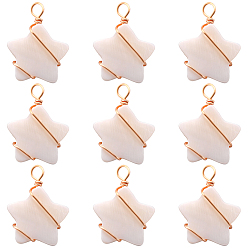 Кремово-белый 30Подвески из натуральных пресноводных ракушек., звезды прелести, с настоящей позолоченной экологически чистой медной проволокой, обернутой, кремово-белые, 18 мм, отверстие : 24x18x4 мм