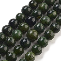 Другие Нефриты Бусы из натурального канадского нефрита, круглые, 8~9.5 мм, отверстие : 0.8~1 мм, около 47~48 шт / нитка, 15.16~15.35 дюйм (38.5~39 см)