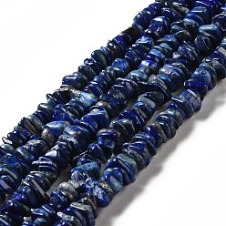 Lapis Lazuli Natural Lapis Lazuli Beads Strands, Nuggets, 8x1.5mm, Hole: 1mm, about 132pcs/strand, 15.83''(40.2cm)