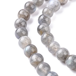 Labradorite Natural Labradorite Beads Strands, Grade AA, Round, Gray, 8mm, Hole: 1mm, about 48pcs/strand, 15.75 inch