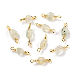 Пренит Соединители из натурального пренита, с золотой медной проволокой, без кадмия и без свинца, чип, 13~19x3.5~8 мм, отверстие : 1.5 мм