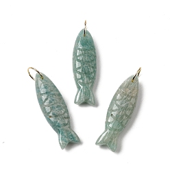 Амазонит Резные подвески из натурального амазонита, рыбы прелести, с 304 кольцами из нержавеющей стали, золотые, 33.5~34.5x10.5x7~7.5 мм, отверстие : 7 мм