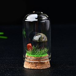 Кровь драконов Натуральные украшения для демонстрации грибов «драконья кровь», со стеклянной крышкой, для украшения рабочего стола домашнего офиса, 20 мм