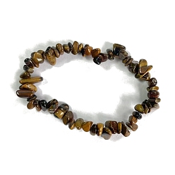 Тигровый глаз Естественно тигровый глаз стрейч браслеты, чип, внутренний диаметр: 2-1/8~2-3/8 дюйм (5.5~6 см)