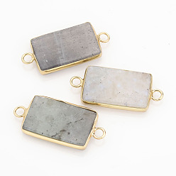 Labradorite Natural Labradorite Links connectors, Rectangle, with Golden Tone Brass Findings, 30x13x4mm, Hole: 2mm