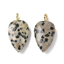 Dalmatian Jasper Natural Dalmatian Jasper Pendants, Faceted Heart Charms, with Brass Finding, 23.5~24x12~12.5x5.5mm, Hole: 2.5mm