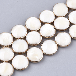 Shell Freshwater Shell Multi-strand Links Strands, 4-Hole, Flat Round, Light Gold Plated Edge, 13x5mm, Hole: 1mm, about 15pcs/strand, 7.4 inch