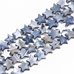 Светлый Стально-синий Пресноводных оболочки бисер нитей, окрашенные, звезда, светло-стальной синий, 12x12.5x3 мм, отверстие : 1 мм, около 35 шт / нитка, 15.55 дюйм (39.5 см)