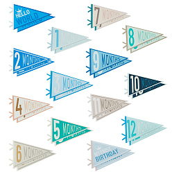 (52) Непрозрачная лаванда 14шт. фетровые флажки-вымпелы для обозначения ежемесячных этапов развития малыша, декор детской комнаты, разноцветные, 205x130x2 мм