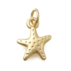 Настоящее золото 18K Латунные подвески, прелести морская звезда, без кадмия и без свинца, стойки покрытие, долговечный, с целью перехода в кольце, реальный 18 k позолоченный, 13x10x2 мм, отверстие : 3.6 мм
