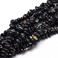 Tiger Eye Natural Black Tiger Eye Chip Beads Strands, 4~14x4~12mm, Hole: 1mm, about 15.3 inch~16.1 inch