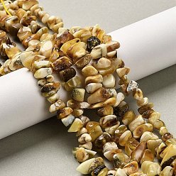 Янтарный Янтарные шарики нити, чип, 8~11x7~11x4~6 мм, отверстие : 0.6 мм, около 81~100 шт / нитка, 13.78~14.17 дюйм (35~36 см)