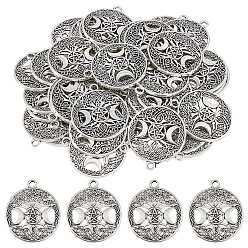 Античное Серебро 40шт. подвески из полого сплава в тибетском стиле, без свинца и без кадмия, плоский круг с богиней тройной луны, языческие украшения, античное серебро, 39x34x1.5 мм, отверстие : 3 мм