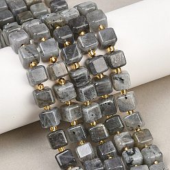 Лабрадорита Природные лабрадорита бисер нитей, кубические, с бисером, 8~8.5x8x7~8.5 мм, отверстие : 0.8 мм, около 39~40 шт / нитка, 15.35~15.83'' (39~40.2 см)