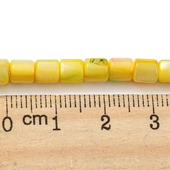 Yellow Natural Freshwater Shell Beads Strands, Dyed, Column, Yellow, 4~5.5x5mm, Hole: 0.6mm, about 74~75pcs/strand, 14.76~14.96 inch(37.5~38cm)