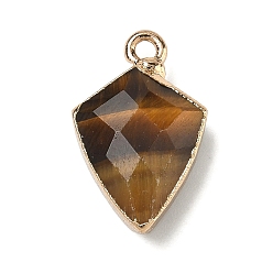 Тигровый глаз Природных тигровый глаз подвески, латунные щиты-талисманы, граненые, золотые, 19.5x12.5x6~6.5 мм, отверстие : 1.8 мм