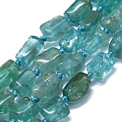 Apatite Perles naturelles apatite brins, nuggets, 11~14x6~8mm, Trou: 0.9mm, Environ 28~32 pcs/chapelet, 15.75'' (40 cm)