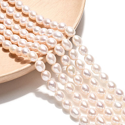 Кремово-белый Нити из натурального культивированного пресноводного жемчуга, рис, оценка 4ab, кремово-белые, 6~8.5x6~6.5 мм, отверстие : 0.6 мм, около 52~54 шт / нитка, 15.35~15.75 дюйм (39~40 см)