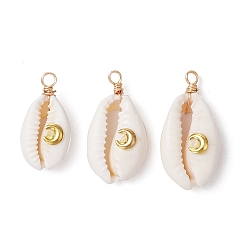Луна Подвески из натуральной ракушки каури, обмотанной медной проволокой, с латунными пластинами, золотые, луна, 24~28x12~15.5x7~8.5 мм, отверстие : 2.6 мм