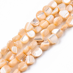 Белый Навахо Натуральная оболочка из трохидных оболочек, окрашенные, самородки, навахо белый, 7.5~10.5x6.5~9.5x4~9 мм, отверстие : 0.8 мм, около 48~49 шт / нитка, 15.16 дюйм ~ 15.75 дюйм (38.5~40 см)