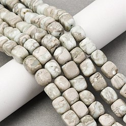 Варисцит Натуральные варицитовые бусины, кубоид, 7~12x8~9x8~9 мм, отверстие : 1.4 мм, около 41 шт / нитка, 14.88'' (37.8 см)