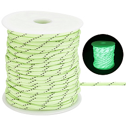Pale Green 30M Luminous Glow in the Dark Polyester Cord, with Plastic Spools, Round, Pale Green, 4mm