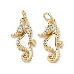 Sea Horse Латунные микро проложить кубического циркония подвески, с естественной оболочке, без свинца и без кадмия, стойки покрытие, долговечный, реальный 18 k позолоченный, морской конек, 17.5x9x4 мм, Перейти кольцо: 5x0.7 мм, внутренний диаметр: 3.5 мм