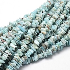 Ларимар Естественно Larimar чип бусины пряди, 5~14x4~10 мм, отверстие : 1 мм, о 32 дюйме