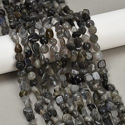 Лабрадорита Природные лабрадорита бисер нитей, самородки, упавший камень, 8~13x8~10x3~8 мм, отверстие : 1 мм, около 49~50 шт / нитка, 15.55~15.75'' (39.5~40 см)