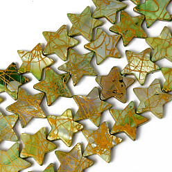Светло-зеленый Коричневый Естественных пресноводных оболочки бисер нитей, окрашенный и Drawbench, звезда, оливковый, 14~19x15~20x3 мм, отверстие : 0.6 мм, около 24 шт / нитка, 15.35 дюйм (39 см)
