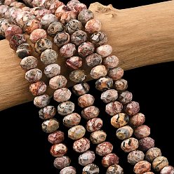 Леопардовая Яшма Натуральные леопардовые шкурки из яшмы, граненые, рондель, 5.5~6.5x4.5 мм, отверстие : 1 мм, около 91~94 шт / нитка, 15.35'' (39 см) ~ 15.43'' (39.2 см)