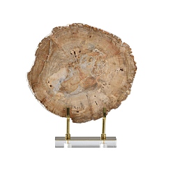 Деревянное Окаменение Натуральный окаменевший срез древесины на черной железной подставке, деревенский декор для дома, 260x320x60 мм