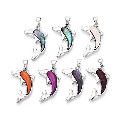 (52) Непрозрачная лаванда Подвески из сплава и окрашенных натуральных раковин морского ушка, прелести дельфинов, платина, разноцветные, 30~30.5x19~19.5x4 мм, отверстие : 6.5x4 мм