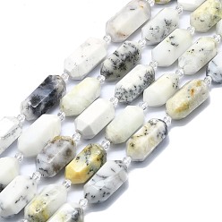 White African Opal Natural White African Opal Beads Strands, Faceted, Double Terminated Pointed/Bullet, 25~27x13~15x12~13mm, Hole: 1.2mm, about 12~13pcs/strand, 15.35 inch(39cm)