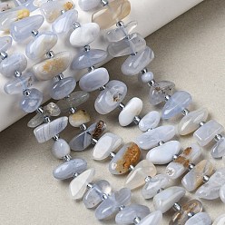 Синий Кружевый Агат Натуральный голубой кружевной агат бисер нитей, самородки, с бисером, 9~16x4~8x3~8 мм, отверстие : 0.9 мм, около 47~55 шт / нитка, 15.35~16.14'' (39~41 см)