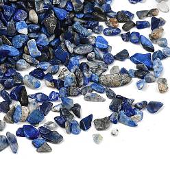 Ляпис-Лазурь Природный лазурит бисером, без отверстия , чип, 3~8x3~4.5x0.1~3 мм, Около 7142~20000 шт / 1000 г
