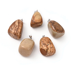 Picture Jasper Natural Picture Jasper Pendants, with Platinum Tone Brass Findings, Nuggets, 23~30x13~22x12~20mm, Hole: 5x3mm