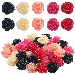 (52) Непрозрачная лаванда 50 шт. 5 цвета синтетические коралловые резные бусины, окрашенные, цветок, разноцветные, 11~11.5x11~11.5x8~8.5 мм, отверстие : 0.5~1.2 мм, 10 шт / цвет